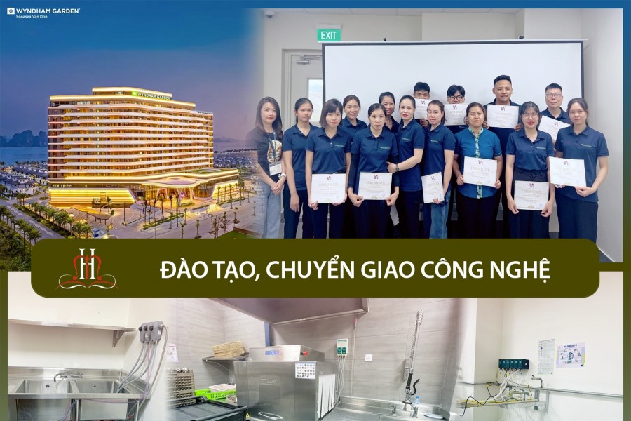 Wyndham Garden Vân Đồn: Nâng Cao Chất Lượng Với Hoàn Mỹ Hotel Supply ✨